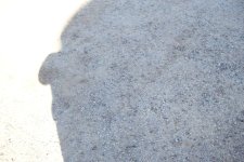 kodak_6_6_2011 014.jpg